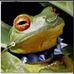 Mark Marcy - Facebook