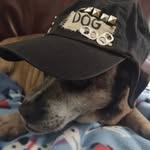 Mark/Marcy - @real_official_marcus - Instagram