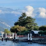 Mark Marini - @mark_marini2006 - Instagram