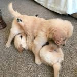 Mark Marion - @mark.narion.3 - Instagram