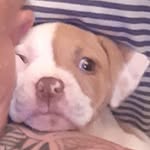 Mark Markham - @markmarkham11 - Instagram