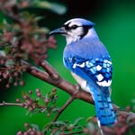 Mark Markos - @mark.m_2000 - Instagram