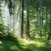 Mark Markowski - Facebook