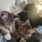 Mark Maroney - @maroneymark - Instagram