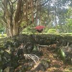 Mark Maroney - @markmaroney - Instagram