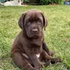 Mark Maroney - @mark.maroney8 - TikTok