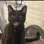 Mark Marsh - @mark.marsh.750 - Instagram