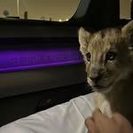 @mark_marzavins - Instagram