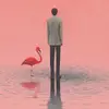 Mark Marzwar - @markmarzwar - TikTok