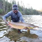 Mark Massé - @markmasse - Instagram