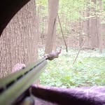 Mark Masse - @mark.masse.79 - Instagram