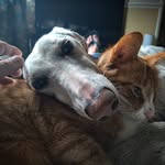 Mark Masters - @markmasters.58 - Instagram