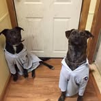 Mark Masterson - Facebook