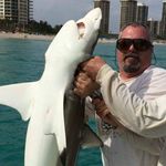 Mark Mastrogiovanni - @mark_mastro - Instagram