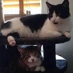 Mark Mattern - @mark_mattern - Instagram