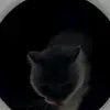 MARK_MAXIME - @mark_maxime - TikTok