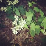 Mark Mayenschein - @markmayenschein - Instagram
