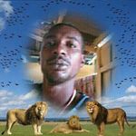 Mark Maynard - @mark.maynard.1428921 - Instagram