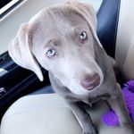 Mark Maynor - @voldad21 - Instagram