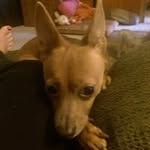 Mark Mcbryde - @mcbryde.mark - Instagram