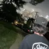 Shark - @mark.mccabe347 - TikTok