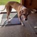 Mark McCammon - Facebook