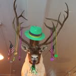 Mark R. McCarter - @odtonneporood - Instagram