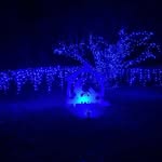 Mark McClain - @mcclain6825 - Instagram