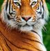 Mark Mcclary - Facebook