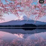 @markm_cclendon - Instagram