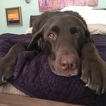 mark mccombs - @uma_mccombs - Instagram