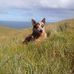 Mark McCormack - Facebook