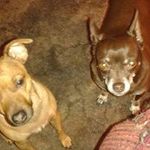 Mark McCready - @mark.mccready - Instagram