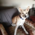 Mark McCright - @markmccright - Instagram