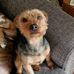 Mark Simon Mccubbine - Facebook