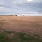 Mark McCusker - @mark.mccusker.357 - Instagram