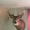 markemcelfresh - @markemcelfresh - TikTok
