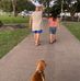 Mark McElligott - Facebook