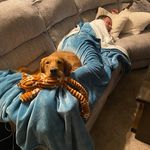 Mark McElligott - @circusmark8675 - Instagram