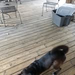Mark McGlothlin - @mcglothlin_mark - Instagram