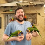 Mark McGuirk - @magoirc - Instagram