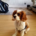 Mark Mciver - @mcivermark - Instagram