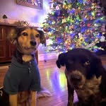 Mark McKaig - @mhmckaig - Instagram