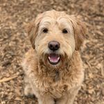 Mark McKane - @mckane_mark - Instagram