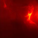 Mark McKee - @mark__mckee - Instagram