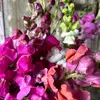 Mark Mckee - @mark.mckee - TikTok