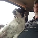 Mark Mclane - @markmclane64 - Instagram