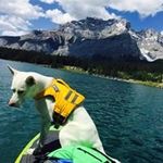 Mark McNaught - @mcnaught.mark - Instagram
