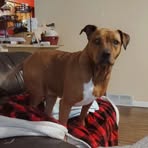 Mark Mcphillips - Facebook
