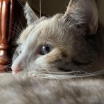 Mark McSwain - @markomcswain - Instagram